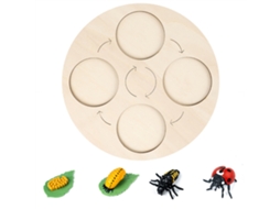 Rebe-kit Ciclo De Vida De Insectos Com Bandeja De Madeira Para Projetos Escolares E Ferramentas Educativas Infantis