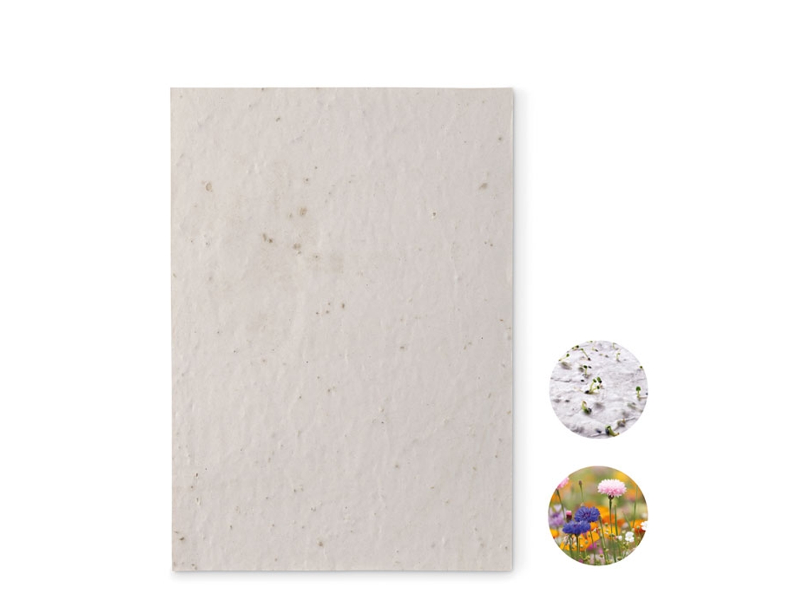 Hoja A5 de Papel Con Semillas MIDOCEAN