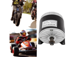 Motor Cc Com Escovas, 24v, 350w, 2700 Rpm, Ferro Fundido, 11 Engrenagens