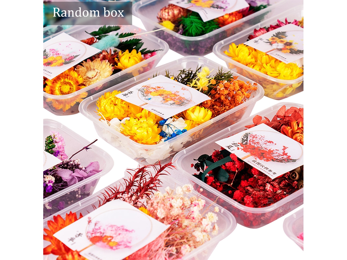 Kit de Flores Secas Diy Misturadas LAXISCREED para Decoração Artesanal