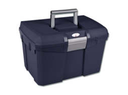 Caixa de Armazenamento Lockable Prateadowaldhausen