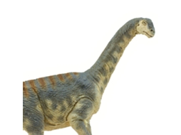 SAFARI Camarasaurus