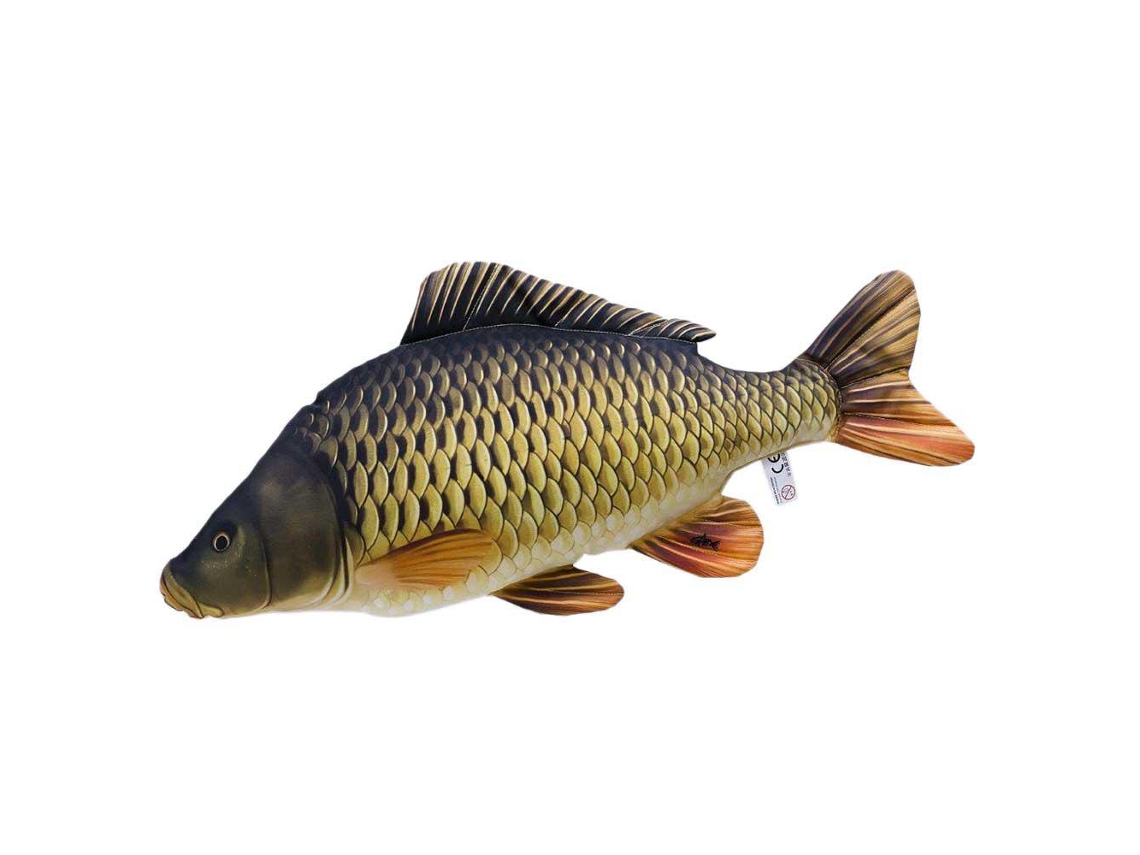 GABY The Common Carp Medium