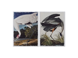 Pintura Dkd Home Decor Heron 50 X 1.8 X 70 Cm