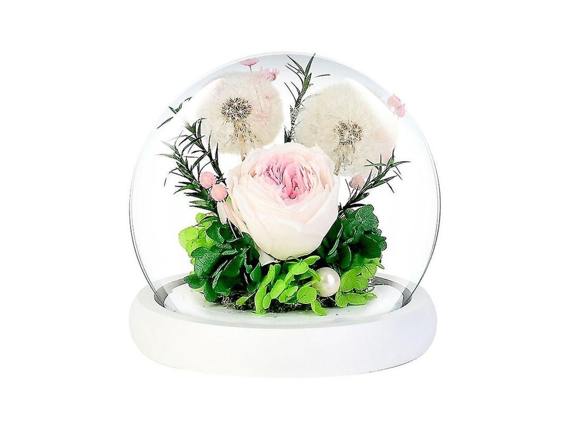 Rosas Eternas Reais com Luzes Led para Dia Dos Namorados Aniversário Presente Elegante