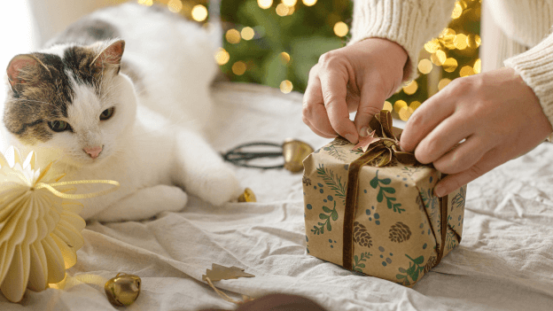 Sem ideias para presentes de Natal?