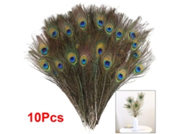 Conjunto de 10 Penas de Pavão Naturais LAXISCREED
