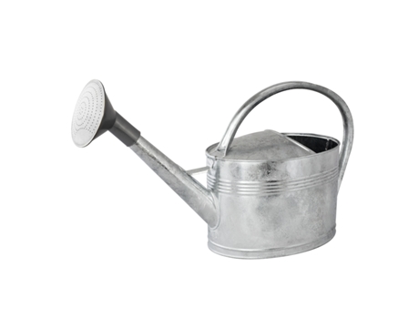 Regador Galvanizado a Quente 10L 020120 GUILLOUARD