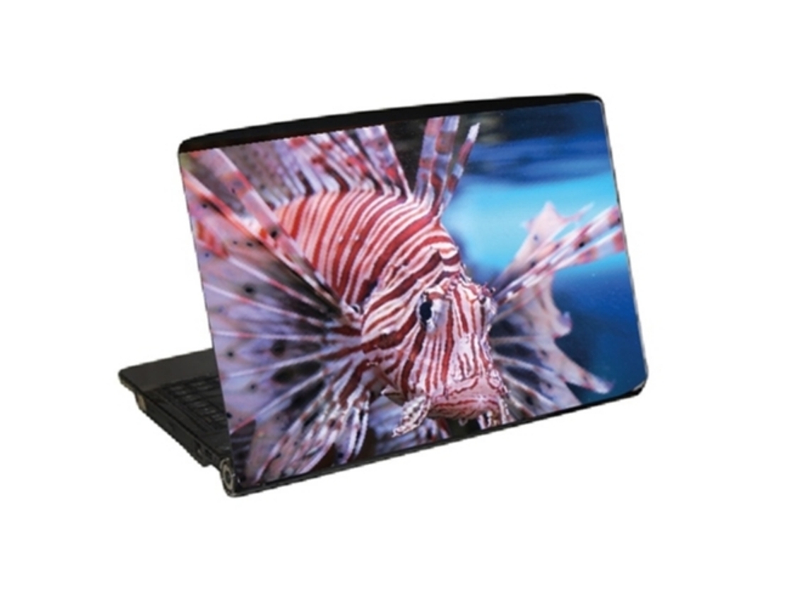 Pele Para Laptop Dragonfish Brilvibera