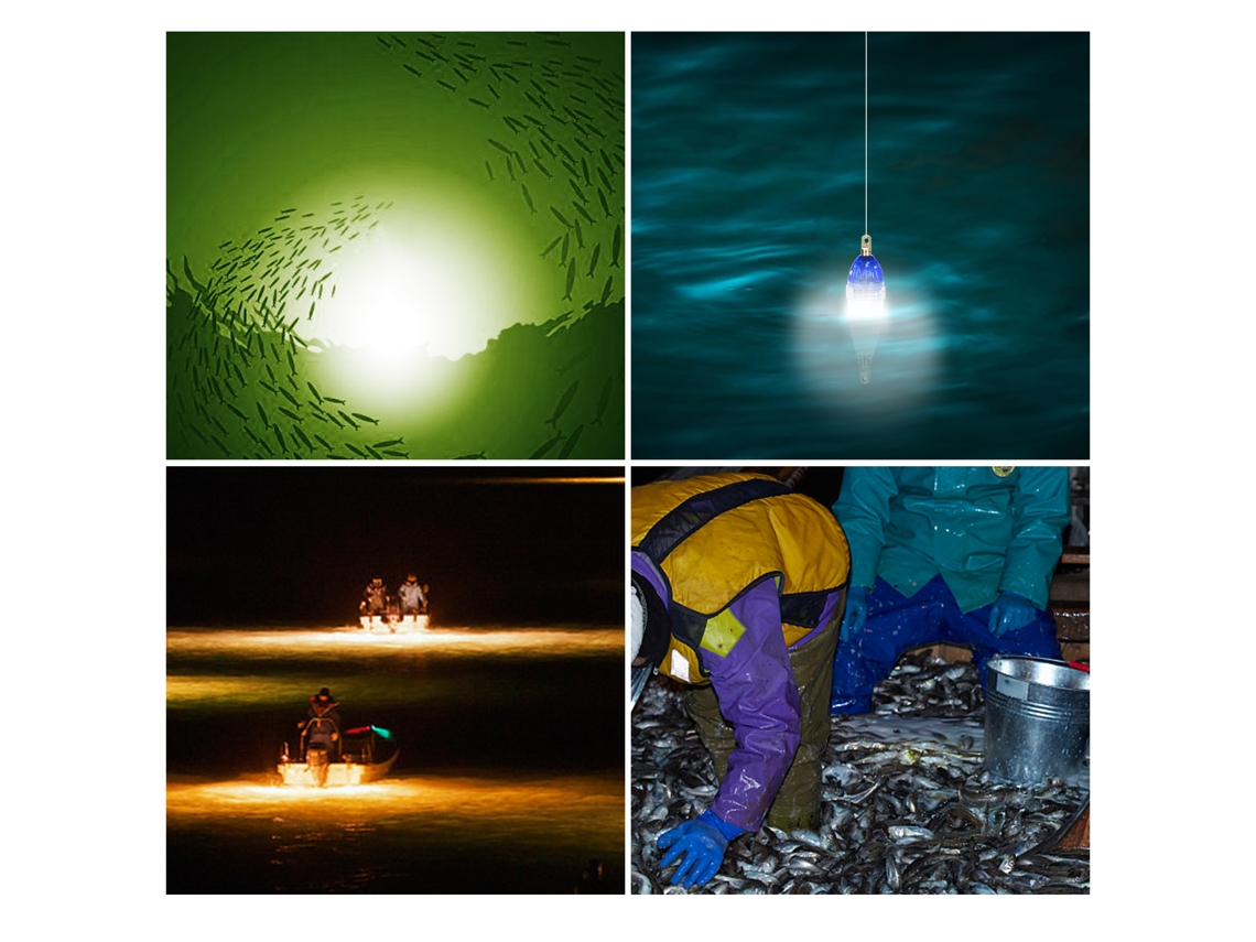 Lure Led Subaquática Impermeável para Pesca Noturna