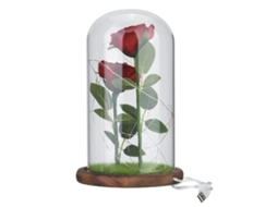 Flor Eterna Vidro Led Presente Aniversário Decoração Lar