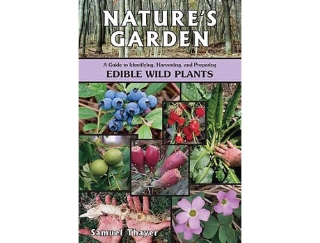 Livro Natures Garden A Guide to Identifying Harvesting and Preparing Edible Wild Plants de Samuel Thayer (Inglês)