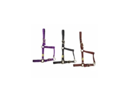 Padrão Losango Reforçado Muserola Nylon Roxo Ponymarjoman Distribucion