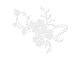 Stickers de Parede 3d Hibisco LAXISCREED