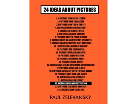 Livro 24 Ideas about Pictures Paul Zelevansky (Inglês)