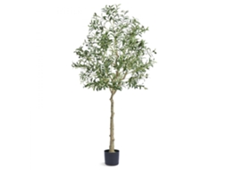 Árvore Artificial Oliveira 1,80m Com 1224 Folhas Em Pe Para Decoração Interior E Exterior Tekmaquinas