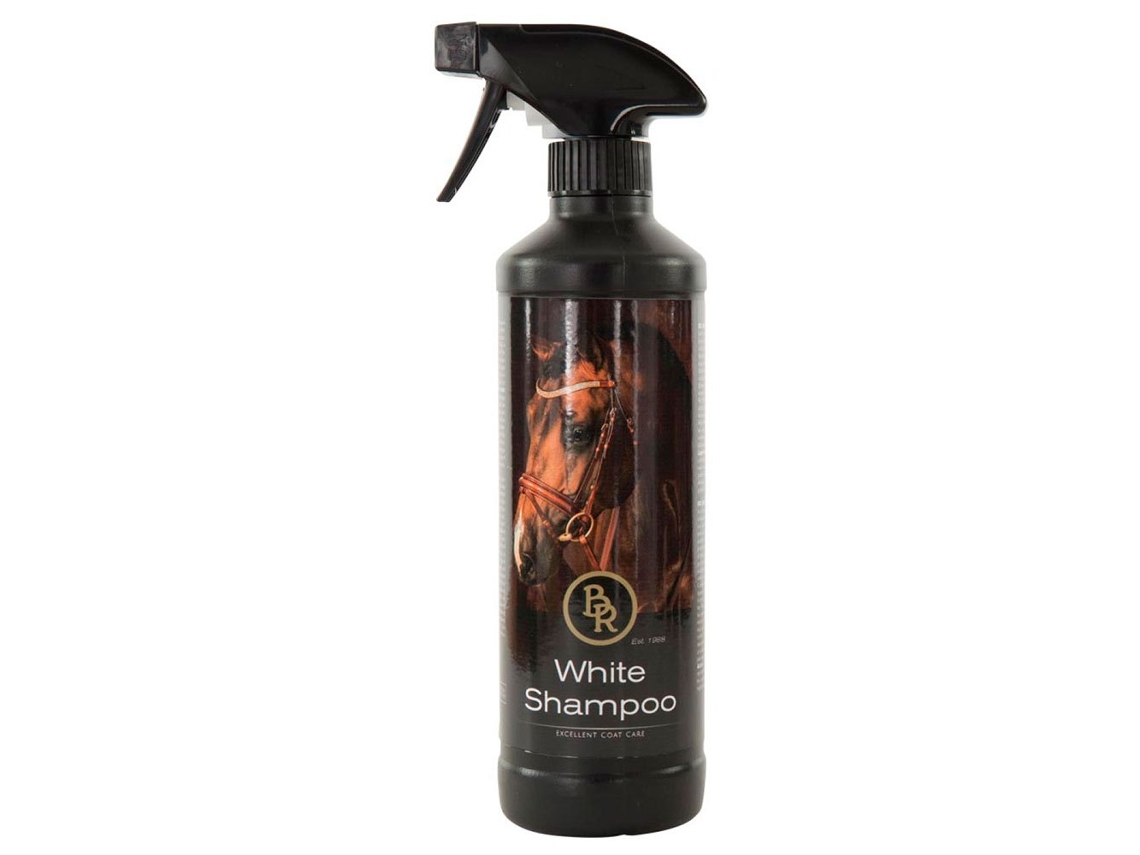 Manutenção E Limpeza BR Spray de shampoo anco