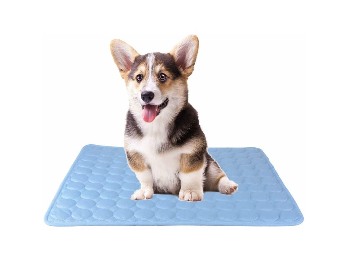 Tapete Refrescante, para Cães e Gatos, Tamanho P, Azul AQUAFORGE