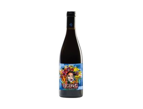 Pvidal Big Bang 2020 VINOS CON PERSONALIDAD