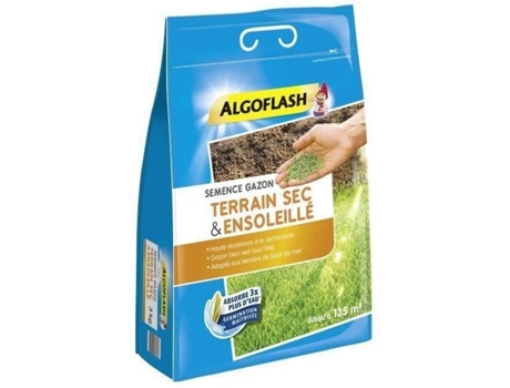 Sementes de grama seca solo ensolarado 3 kg