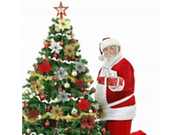 Flores De Natal Artificiais De Poinsétia Glitter Radiant Glitter, Decorações Brancas Vibrantes Elevam Seu Espírito De Férias Com Polietileno Não Tóxic