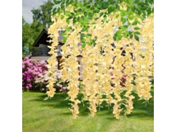 Guirlanda de Flores Artificiais de Glicínia em Rattan, Cor Champanhe, Pacote com 12 Unidades. Ideal para Decoração de Casa. AQUAFORGE