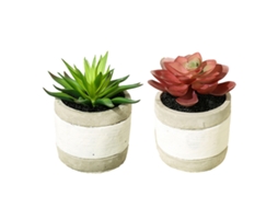 2 Peças de Plantas Suculentas Simuladas em Vaso Ornamentos Criativos Vasos de Cimento em Duas Cores NEVEANCE