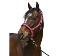 Cabeçada 4Lines Rosa Cobnorton Equestrian