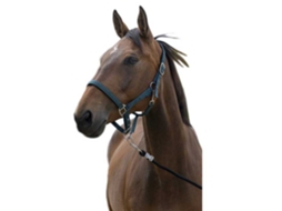Cabeçada Satine Verde Cobnorton Equestrian