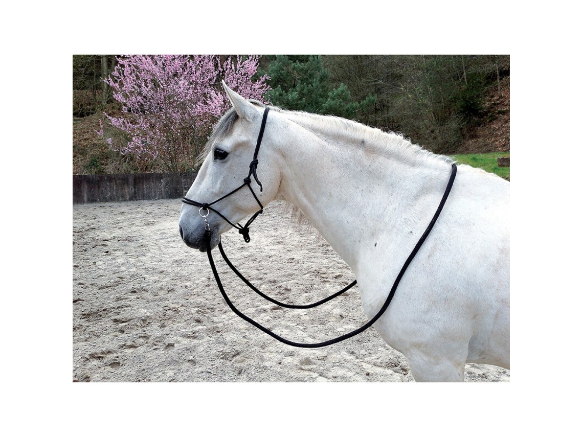 Cabresto etológico para cavalos com rédeas Norton