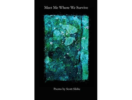 Livro Meet Me Where We Survive de Scott Silsbe (Inglês)