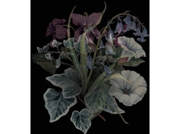 Vinil Nhor - Wildflowers (1CDs)