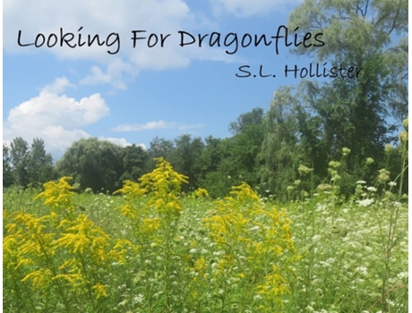 Livro Looking for Dragonflies de SL Hollister (Inglês)