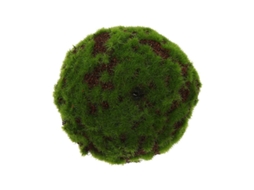 Bola Decorativa ALLINLESS