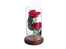 1pcs Luz Led Rosa Para Casamento No Dia Dos Namorados