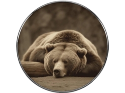 Ímã De Geladeira Com Design Urso Dormindo, Ímãs De Liga Metálica Fofos E Coloridos Para Geladeira, Quadro Branco