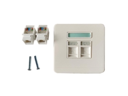Módulo de Rede Cat5E Utp Sem Ferramentas Conector Rj45 Gigabit Lan Plugue de Parede 2 Portas ALLINLESS