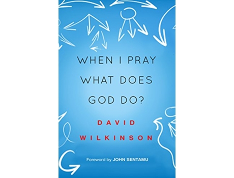 Livro When I Pray What Does God Do de David Wilkinson (Inglês)
