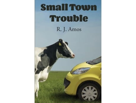 Livro Small Town Trouble De R J Amos (inglês)