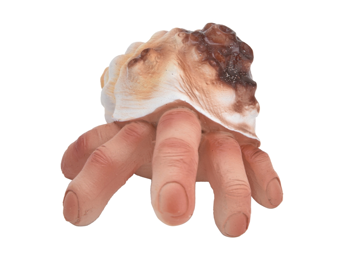 Ornamentos De Resina Dedo Shell Decorativos Para Ambientes