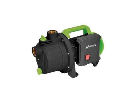 Bomba De Superfície Autoescorvante De 600 W  - Prjet41p - Ribimex