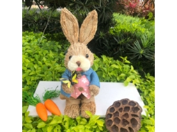 Coelhos de Páscoa 2 Peças 25cm Azul e Rosa Homem e Mulher LAXISCREED