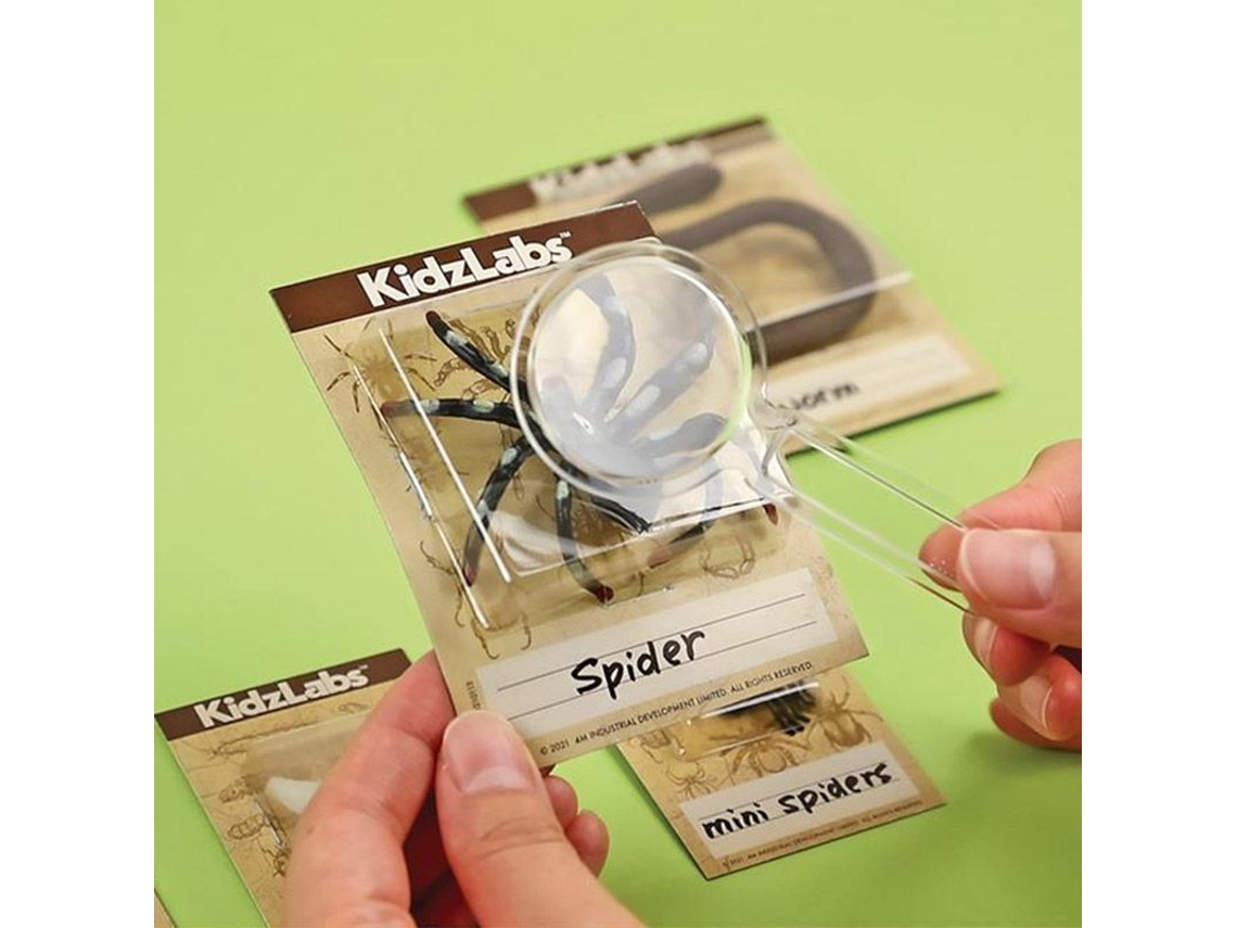 Discovery Science Kit de Insetos Rastejantes Youdoit