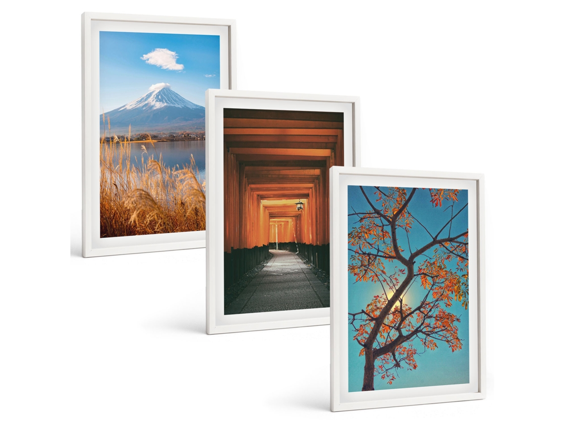 Conjunto De Pinturas Paisagens Japonesas E Natureza Espelharte (3 Peças 40x60 Cm)