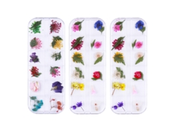 Caixa de Flores Secas em 12 Cores para Decoração de Unhas e Artesanato com Resina RNEMITERY