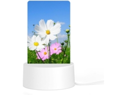 Luminária Noturna Rosa E Branca em Formato de Flor, Durável, Resistente a Ponteiras, com LEDs que Não Inflamáveis, Prática
