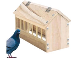 Dispensador De Ração Para Codornas, Comedouro Para Aves Sem Desperdício