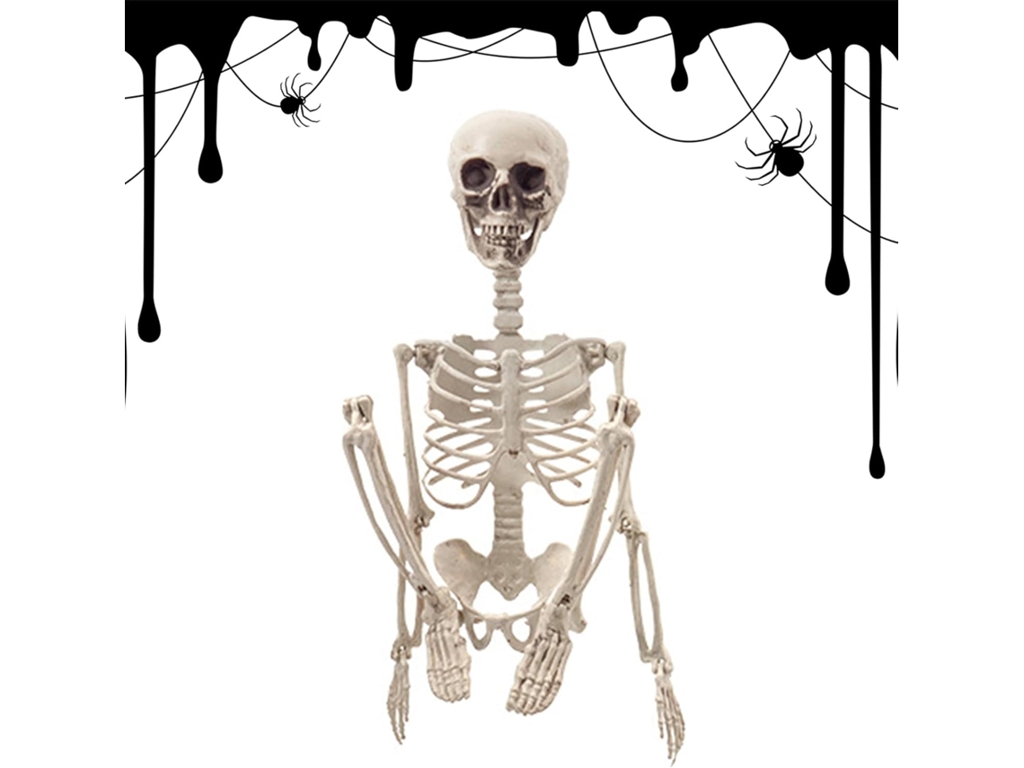 Decoração de Esqueleto Figura Decorativa de Esqueleto de 60cm Decoração Anatômica Dobrável para Aniversário CHABERLU