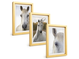 Composição De Quadroscavalos Brancos Na Natureza Moldura Dourada Imagens Para Um Quarto Infantil Espelharte (3 Peças 20x30 Cm)