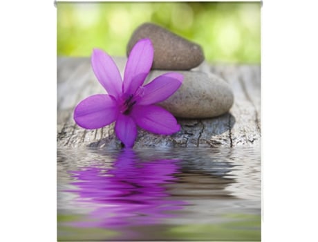 Estore de Rolo HAPPYSTOR Impressão Digital Zen HSCZ4502 155x250 cm